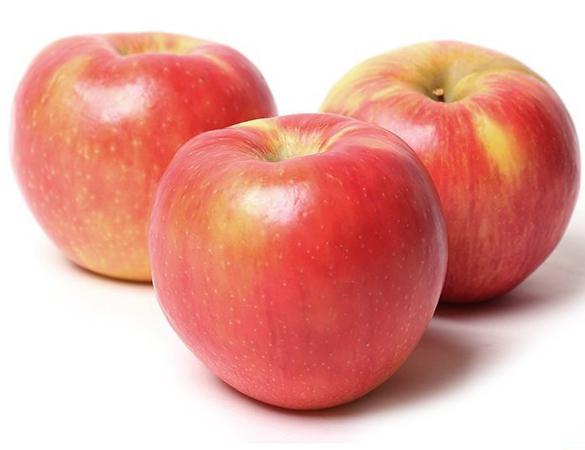 Honey Crisp, jabloň: popis odrůdy