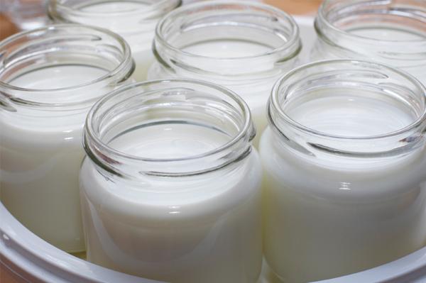 Jak si vyrobit jogurt v multivariačních jednoduchých receptech