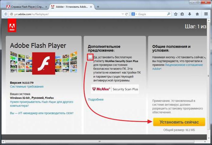 Prohlížečové pluginy: Adobe Flash Player. Povolit, aktualizovat, mazat - jak?