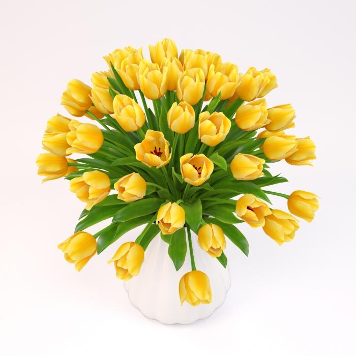 žlutá hodnota tulipánů