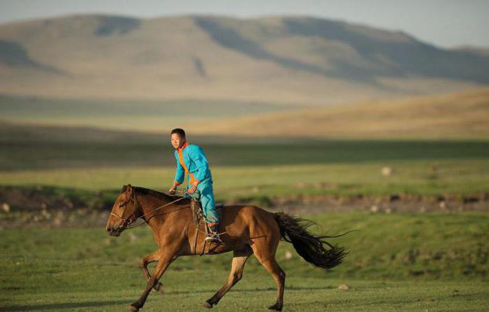 Mongolská uzda pro koně